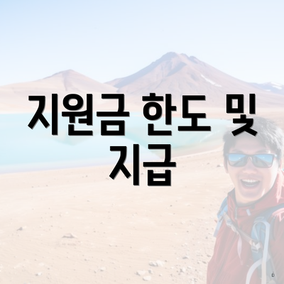 지원금 한도 및 지급