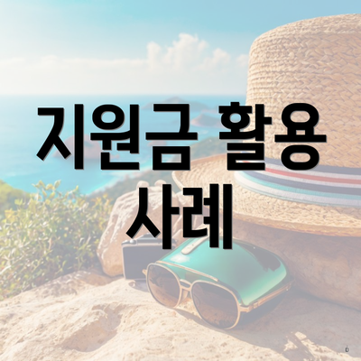 지원금 활용 사례