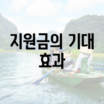 지원금의 기대 효과