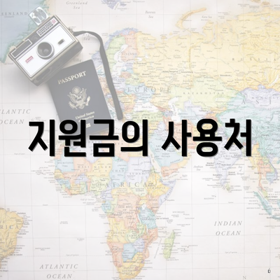 지원금의 사용처