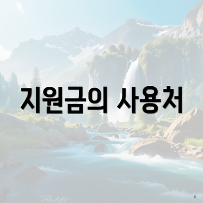 지원금의 사용처