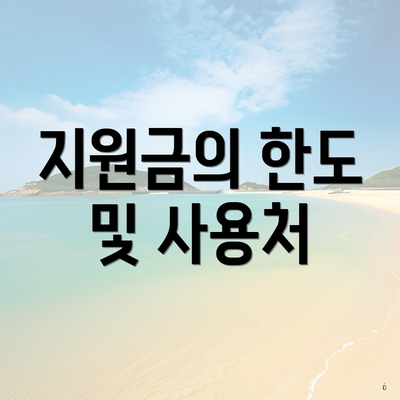 지원금의 한도 및 사용처