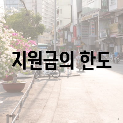 지원금의 한도