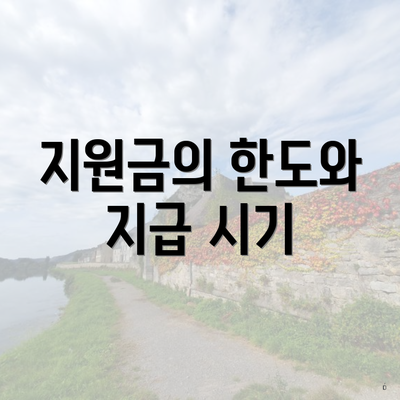 지원금의 한도와 지급 시기