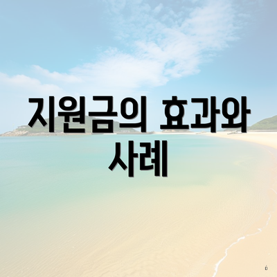 지원금의 효과와 사례