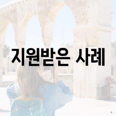 지원받은 사례