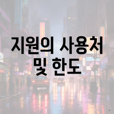 지원의 사용처 및 한도