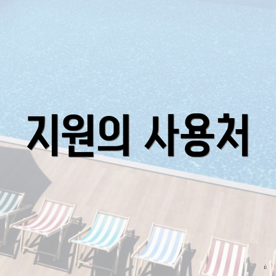 지원의 사용처