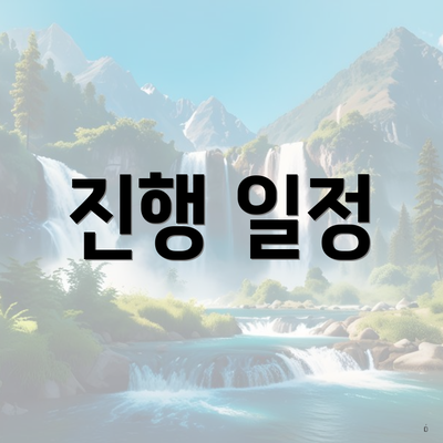 진행 일정