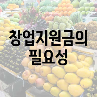창업지원금의 필요성