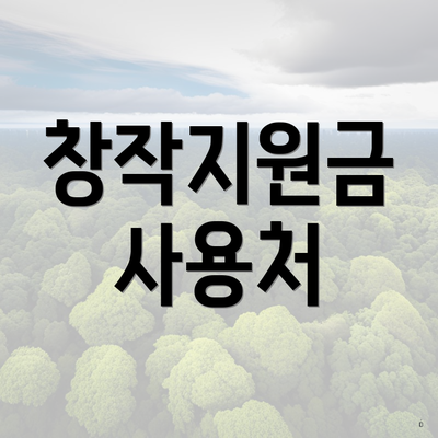 창작지원금 사용처