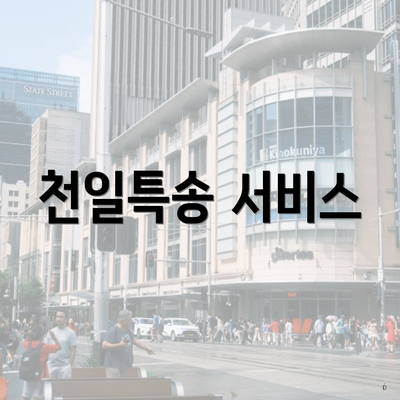 천일특송 서비스