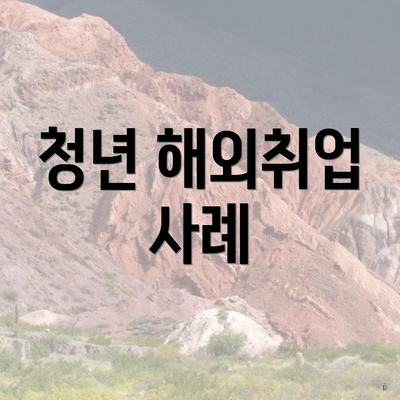 청년 해외취업 사례