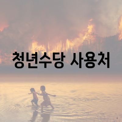 청년수당 사용처