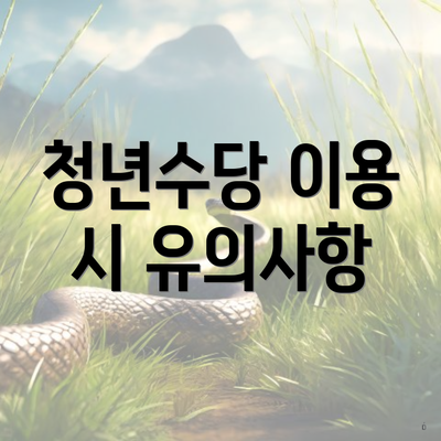 청년수당 이용 시 유의사항