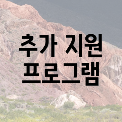 추가 지원 프로그램