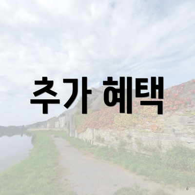 추가 혜택