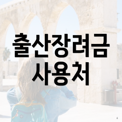 출산장려금 사용처