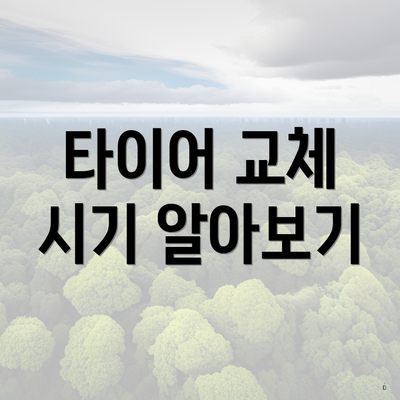 타이어 교체 시기 알아보기