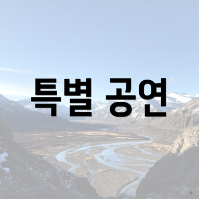 특별 공연