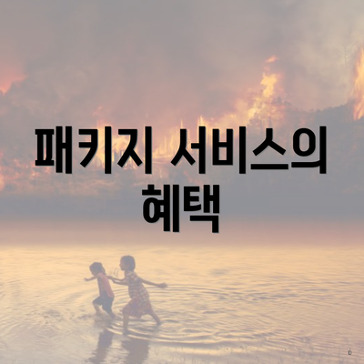 패키지 서비스의 혜택