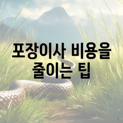 포장이사 비용을 줄이는 팁