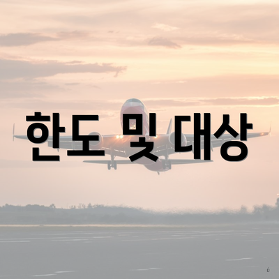 한도 및 대상