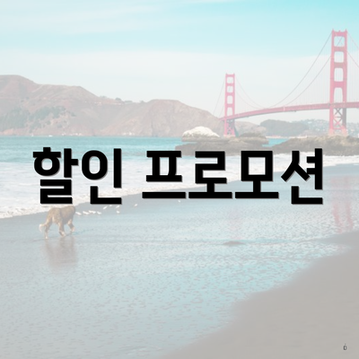 할인 프로모션