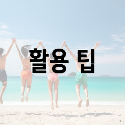 활용 팁
