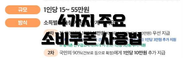 4가지 주요 소비쿠폰 사용법