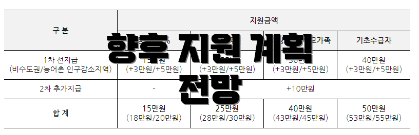 향후 지원 계획 전망