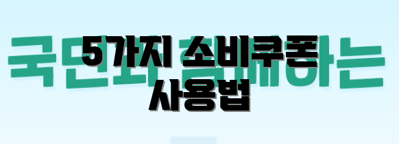 5가지 소비쿠폰 사용법