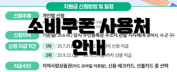 소비쿠폰 사용처 안내