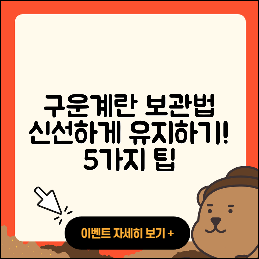 구운계란 보관 방법 5가지로 신선하게 유지하기